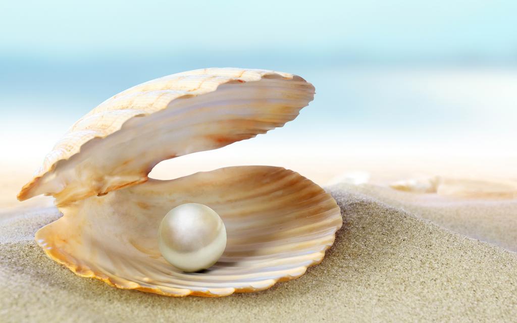 Die Perle Zandvoort Δωμάτιο φωτογραφία